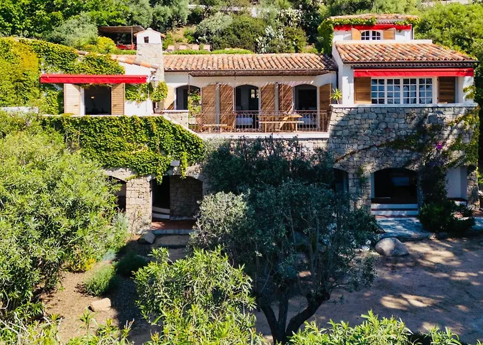 Hotel Balamb Garden A Cinarchesa à Ajaccio 